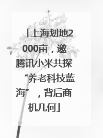 上海划地2000亩，邀腾讯小米共探“养老科技蓝海”，背后商机几何