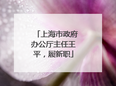 上海市政府办公厅主任王平，履新职