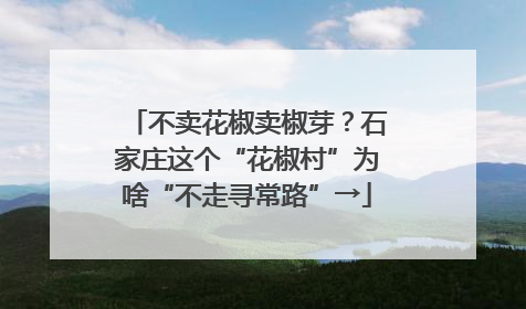 不卖花椒卖椒芽？石家庄这个“花椒村”为啥“不走寻常路”→