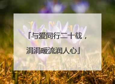 与爱同行二十载，涓涓暖流润人心