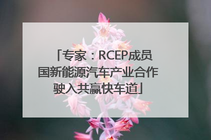 专家：RCEP成员国新能源汽车产业合作驶入共赢快车道