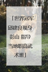 世界冠军邱建良现身彭山 指导当地职高武术班