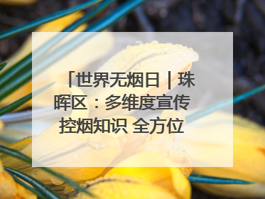 世界无烟日｜珠晖区：多维度宣传控烟知识 全方位共筑健康防线