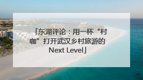 东湖评论：用一杯“村咖”打开武汉乡村旅游的Next Level
