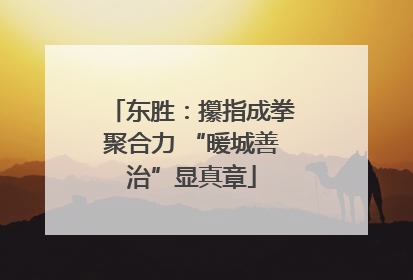 东胜：攥指成拳聚合力 “暖城善治”显真章