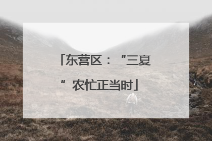 东营区：“三夏”农忙正当时