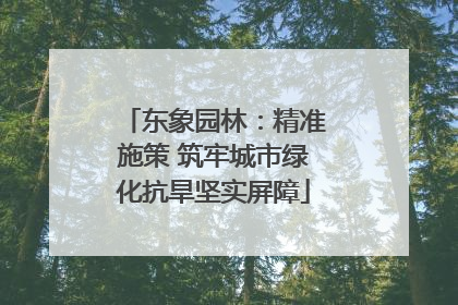 东象园林：精准施策 筑牢城市绿化抗旱坚实屏障