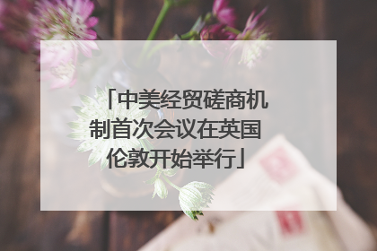 中美经贸磋商机制首次会议在英国伦敦开始举行