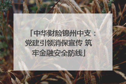 中华财险锦州中支：党建引领消保宣传 筑牢金融安全防线