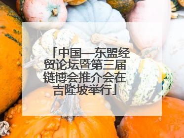 中国—东盟经贸论坛暨第三届链博会推介会在吉隆坡举行