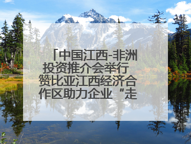 中国江西-非洲投资推介会举行 赞比亚江西经济合作区助力企业“走出去”