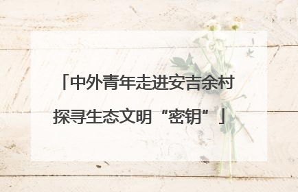 中外青年走进安吉余村探寻生态文明“密钥”