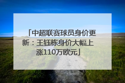 中超联赛球员身价更新：王钰栋身价大幅上涨110万欧元