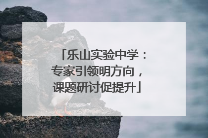 乐山实验中学：专家引领明方向，课题研讨促提升