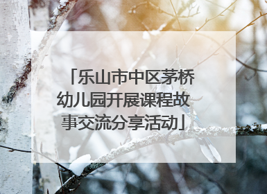 乐山市中区茅桥幼儿园开展课程故事交流分享活动