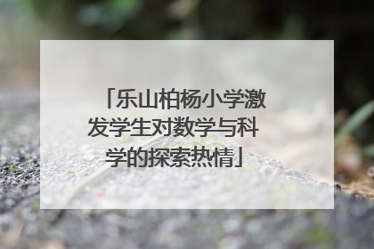 乐山柏杨小学激发学生对数学与科学的探索热情