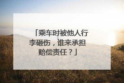 乘车时被他人行李砸伤，谁来承担赔偿责任？