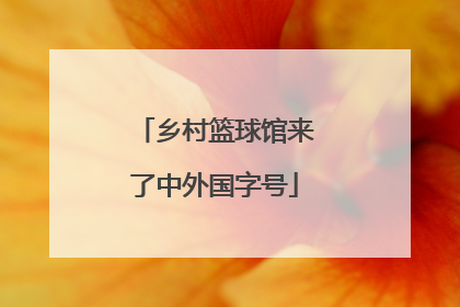 乡村篮球馆来了中外国字号