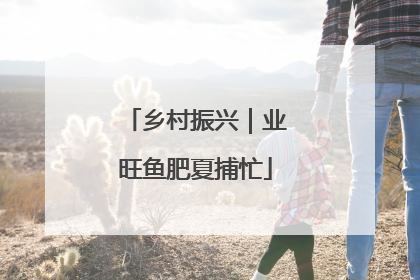 乡村振兴｜业旺鱼肥夏捕忙