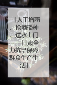 人工增雨、抢墒播种、送水上门——甘肃全力抗旱保障群众生产生活