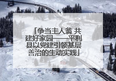 争当主人翁 共建好家园——平利县以党建引领基层善治的生动实践