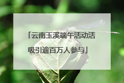 云南玉溪端午活动活吸引逾百万人参与