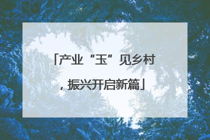 产业“玉”见乡村，振兴开启新篇