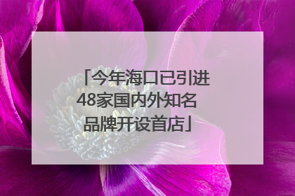 今年海口已引进48家国内外知名品牌开设首店
