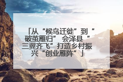 从“候鸟迁徙”到“破茧雁归” 会泽县“三翼齐飞”打造乡村振兴“创业雁阵”