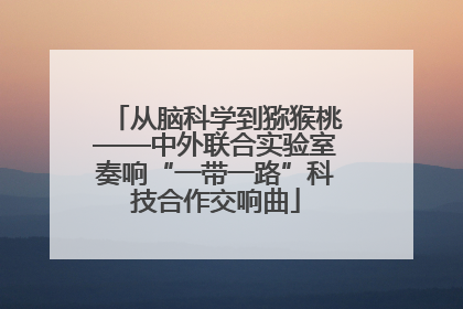 从脑科学到猕猴桃——中外联合实验室奏响“一带一路”科技合作交响曲