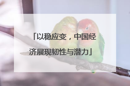 以稳应变，中国经济展现韧性与潜力