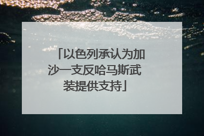 以色列承认为加沙一支反哈马斯武装提供支持