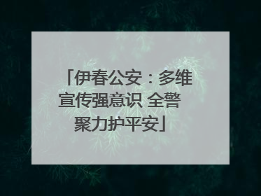 伊春公安：多维宣传强意识 全警聚力护平安