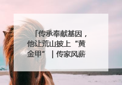 传承奉献基因，他让荒山披上“黄金甲”｜传家风薪火 颂家国情深