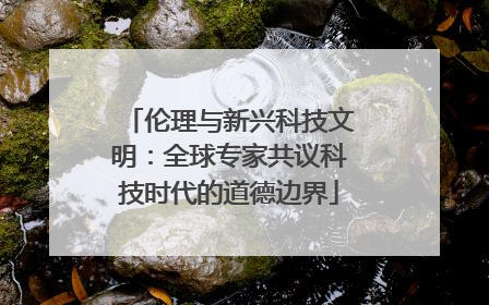伦理与新兴科技文明：全球专家共议科技时代的道德边界