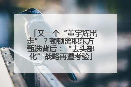 又一个“董宇辉出走”？顿顿离职东方甄选背后：“去头部化”战略再遭考验