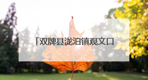 双牌县泷泊镇观文口村：粽叶飘香承古韵 乡情凝聚展新篇