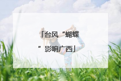 台风“蝴蝶”影响广西