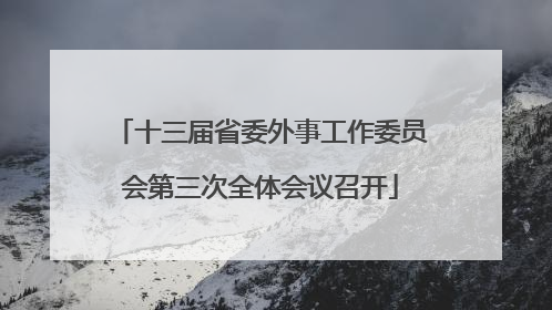 十三届省委外事工作委员会第三次全体会议召开