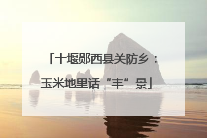 十堰郧西县关防乡：玉米地里话“丰”景