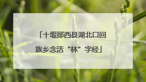 十堰郧西县湖北口回族乡念活“林”字经