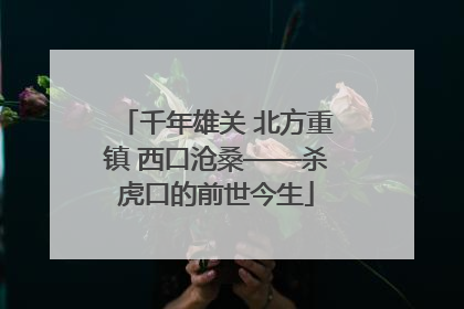 千年雄关 北方重镇 西口沧桑——杀虎口的前世今生