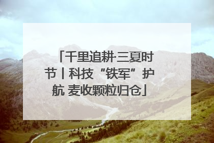 千里追耕·三夏时节丨科技“铁军”护航 麦收颗粒归仓