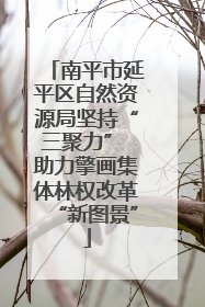 南平市延平区自然资源局坚持“三聚力” 助力擎画集体林权改革“新图景”