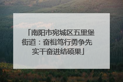 南阳市宛城区五里堡街道：奋楫笃行勇争先 实干奋进结硕果
