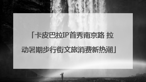 卡皮巴拉IP首秀南京路 拉动暑期步行街文旅消费新热潮