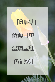 印尼归侨海口重温琼崖红色记忆