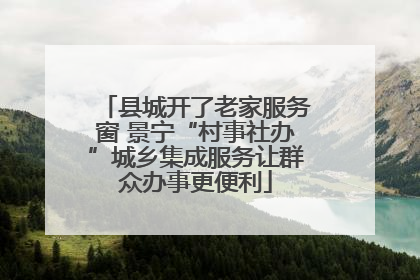 县城开了老家服务窗 景宁“村事社办”城乡集成服务让群众办事更便利