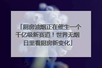 厨房油烟正在催生一个千亿级新赛道！世界无烟日里看厨房新变化