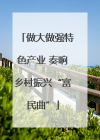 做大做强特色产业 奏响乡村振兴“富民曲”